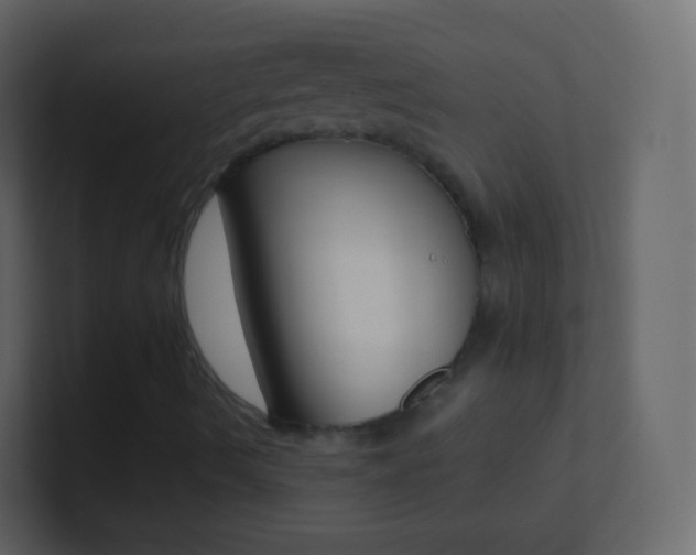 X0000101431490200807070954