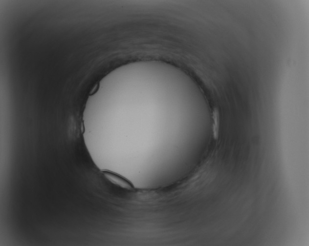 X0000101431491200807070954