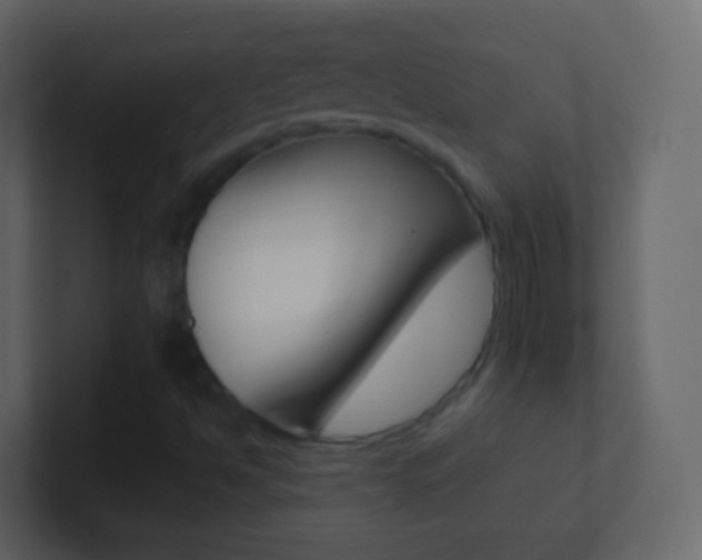 X0000101431494200807070954
