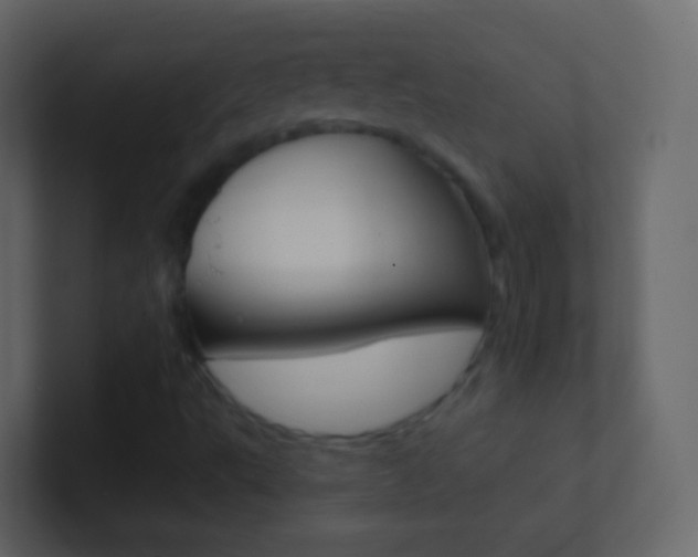 X0000101431495200807070954