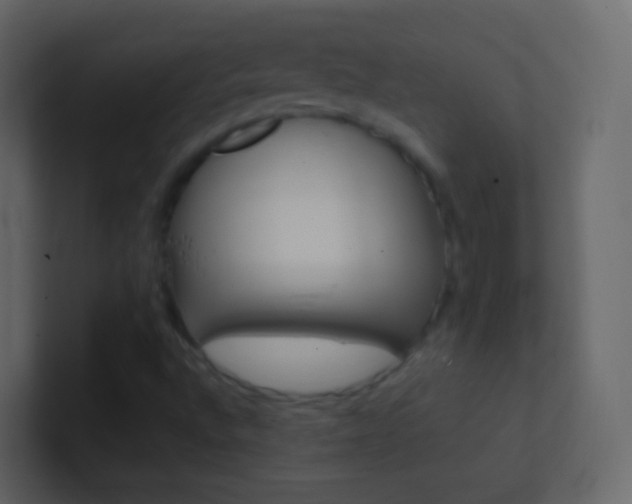 X0000101431496200807070954