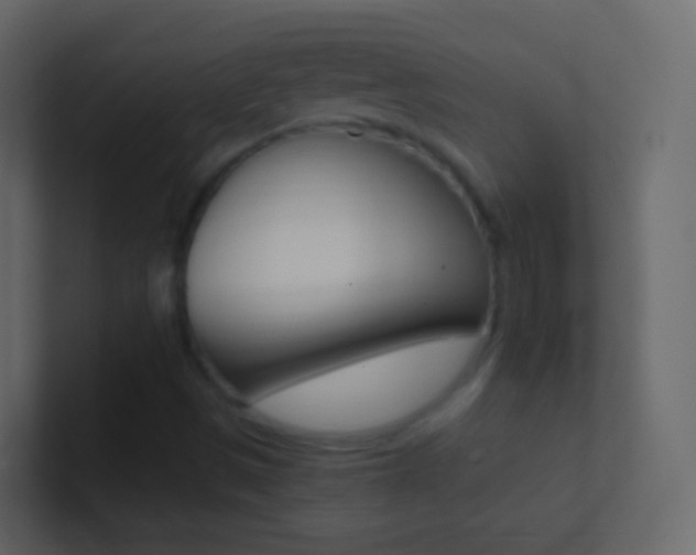 X0000101431497200807070954