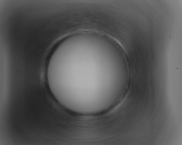 X0000101431499200807070954