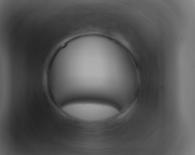 X0000101431500200807070954
