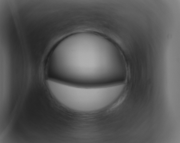 X0000101431501200807070954