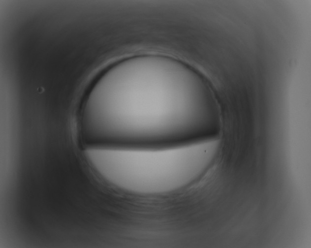 X0000101431503200807070954