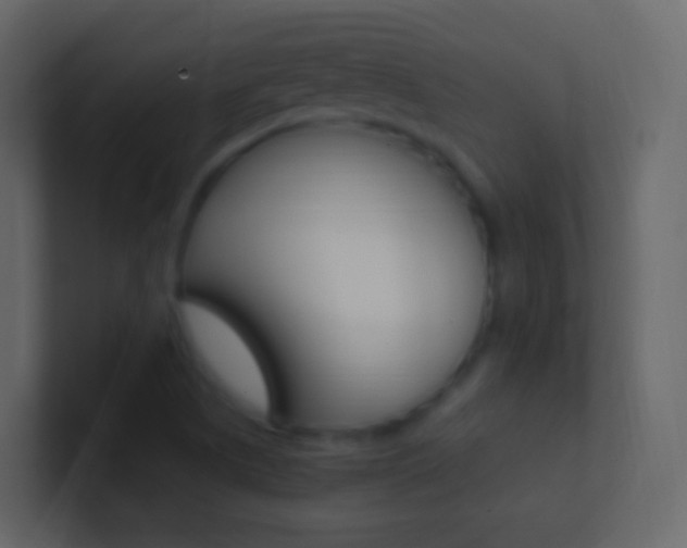 X0000101431505200807070954