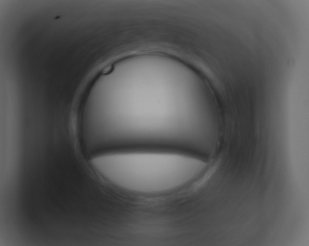 X0000101431506200807070954