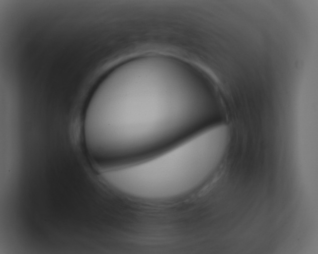 X0000101431507200807070954