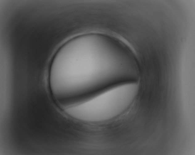 X0000101431508200807070954