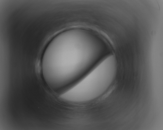 X0000101431509200807070954