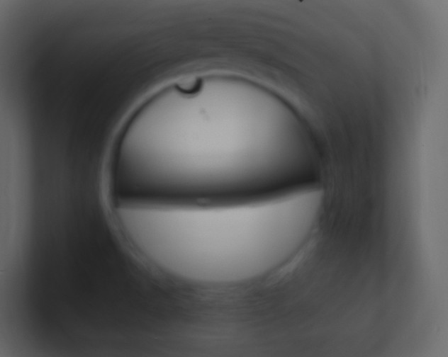 X0000101431518200807070954