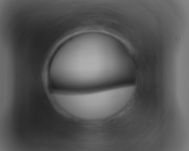 X0000101431519200807070954