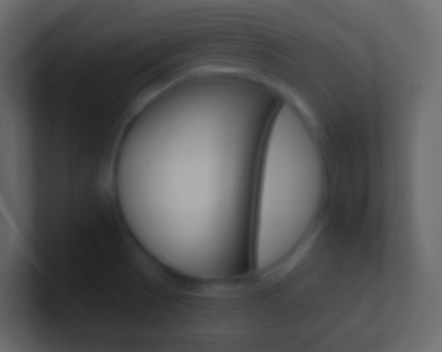 X0000101431521200807070954
