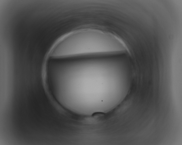 X0000101431523200807070954