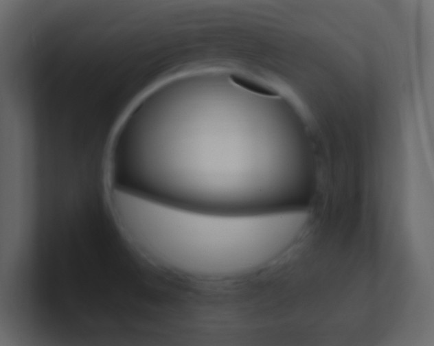 X0000101431524200807070954