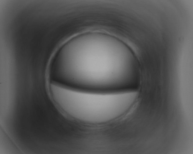 X0000101431525200807070954