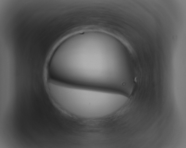 X0000101431527200807070954