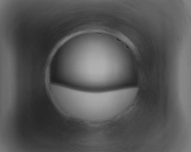 X0000101431528200807070954