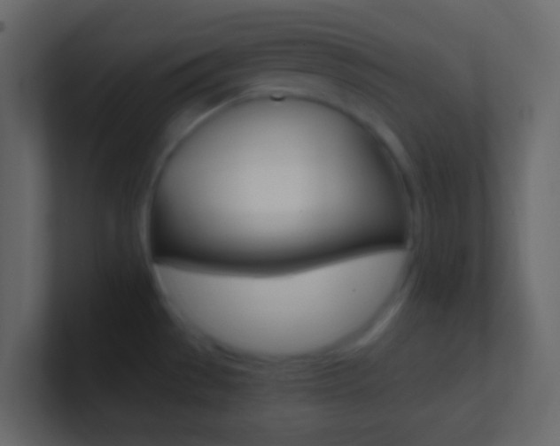 X0000101431529200807070954