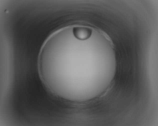 X0000101431530200807070954