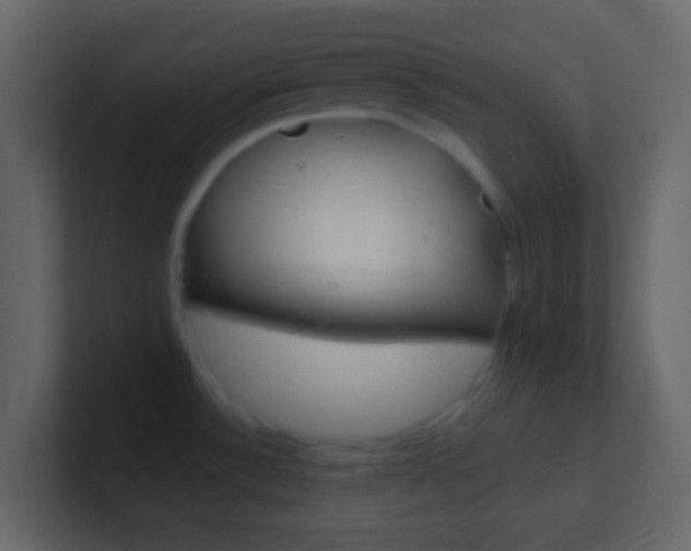 X0000101431532200807070954