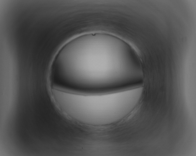 X0000101431534200807070955
