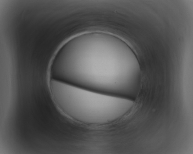 X0000101431535200807070955