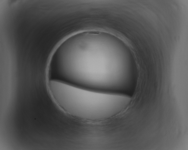 X0000101431536200807070955