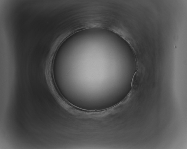 X0000101430001200807071351
