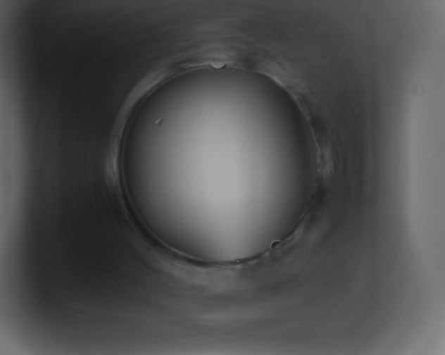 X0000101430004200807071351