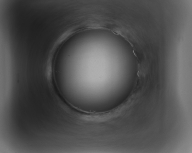 X0000101430005200807071351