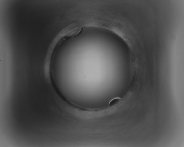 X0000101430007200807071351