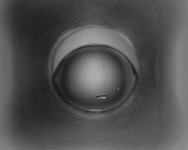 X0000101430008200807071351