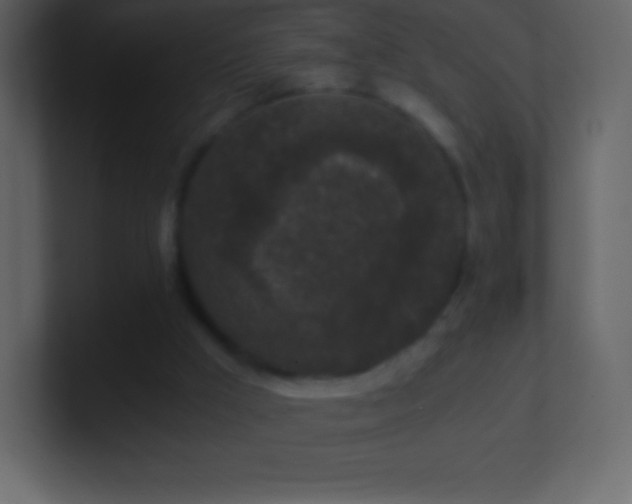 X0000101430009200807071351