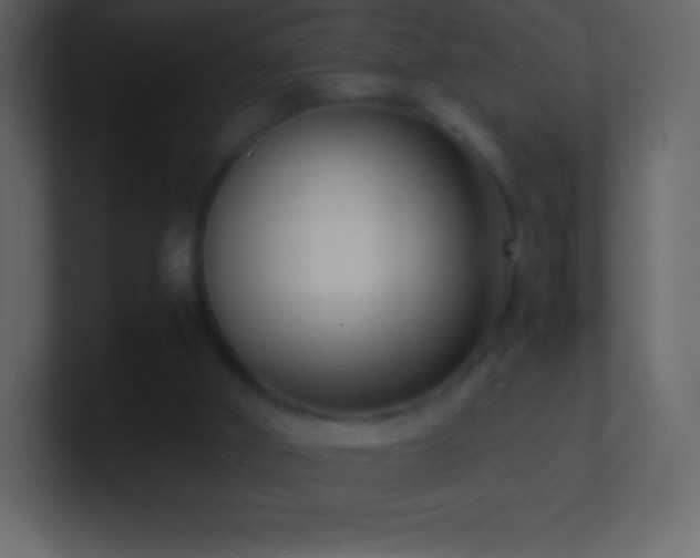 X0000101430010200807071351