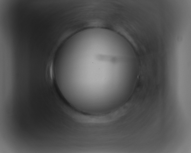 X0000101430011200807071351