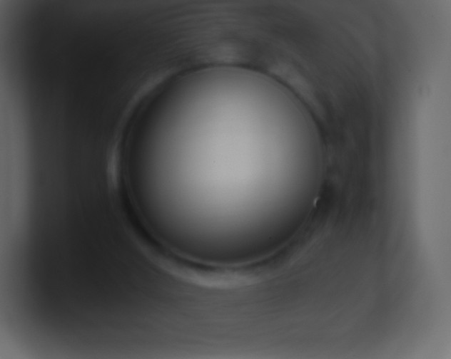 X0000101430012200807071351