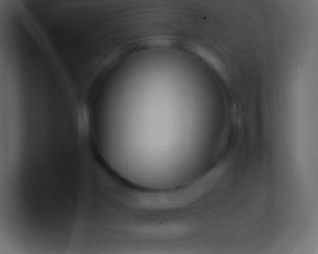 X0000101430013200807071351
