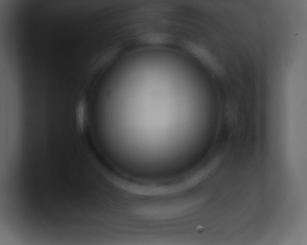 X0000101430014200807071351