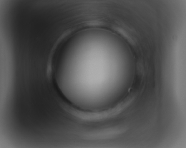 X0000101430015200807071351