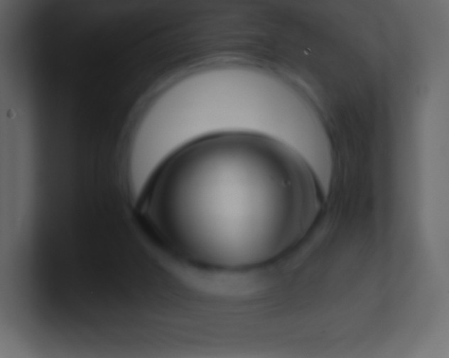 X0000101430016200807071351