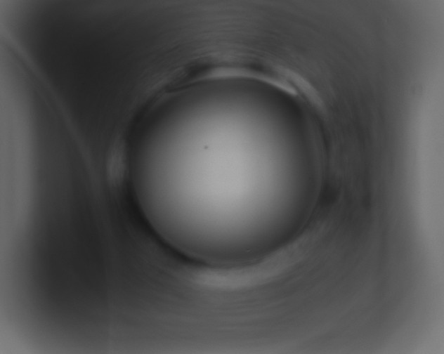X0000101430017200807071351