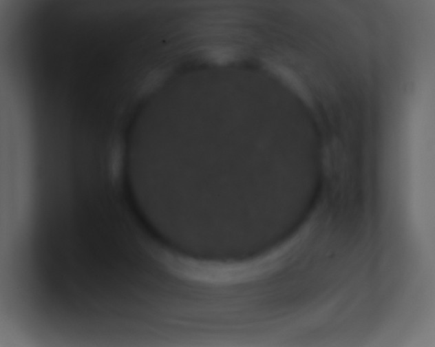 X0000101430018200807071351