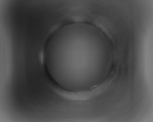 X0000101430019200807071351
