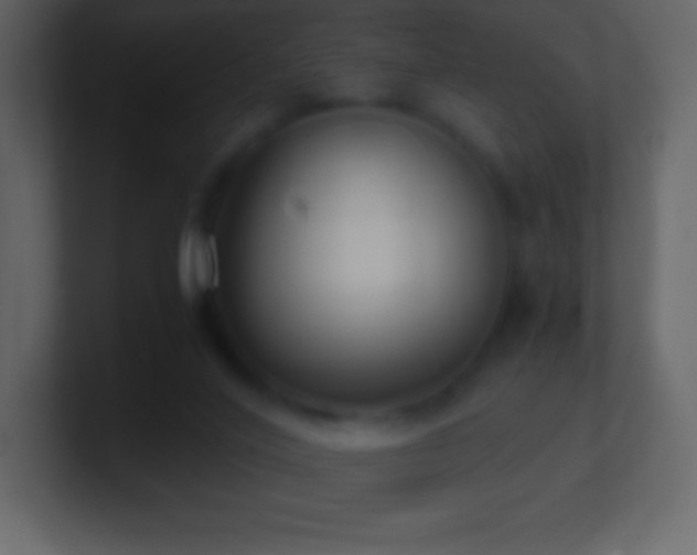 X0000101430020200807071351