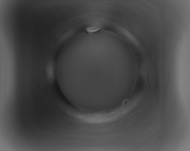 X0000101430023200807071351