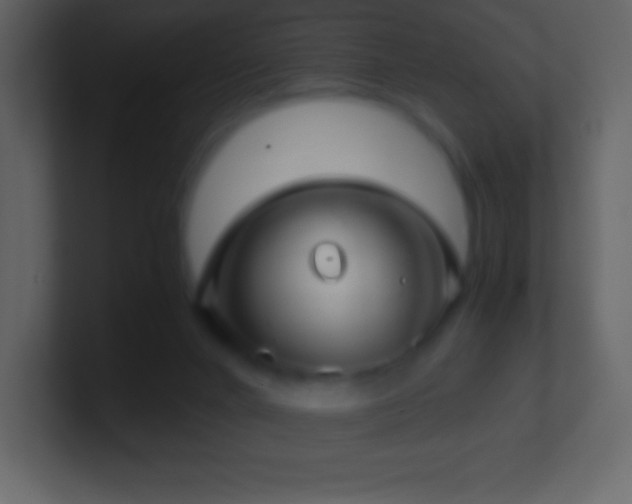 X0000101430024200807071351