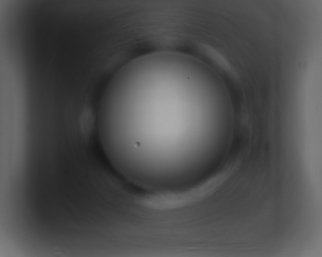X0000101430025200807071351