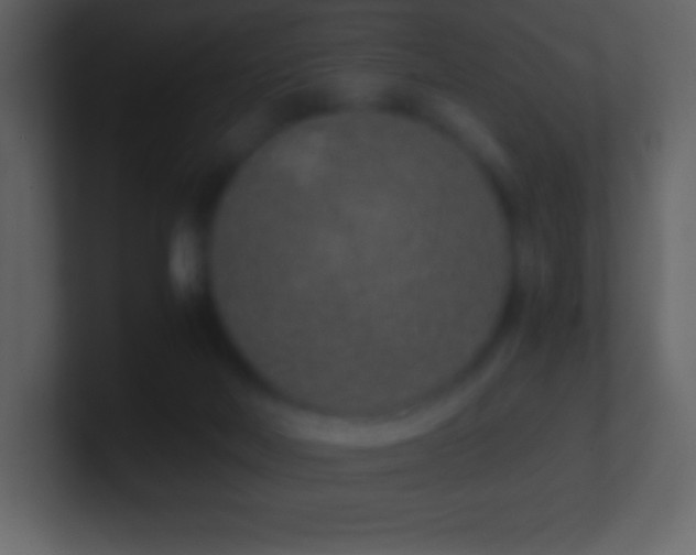 X0000101430026200807071351